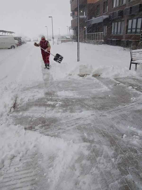 ����������� �������� �������� ���������� ��������������� ����� � �������