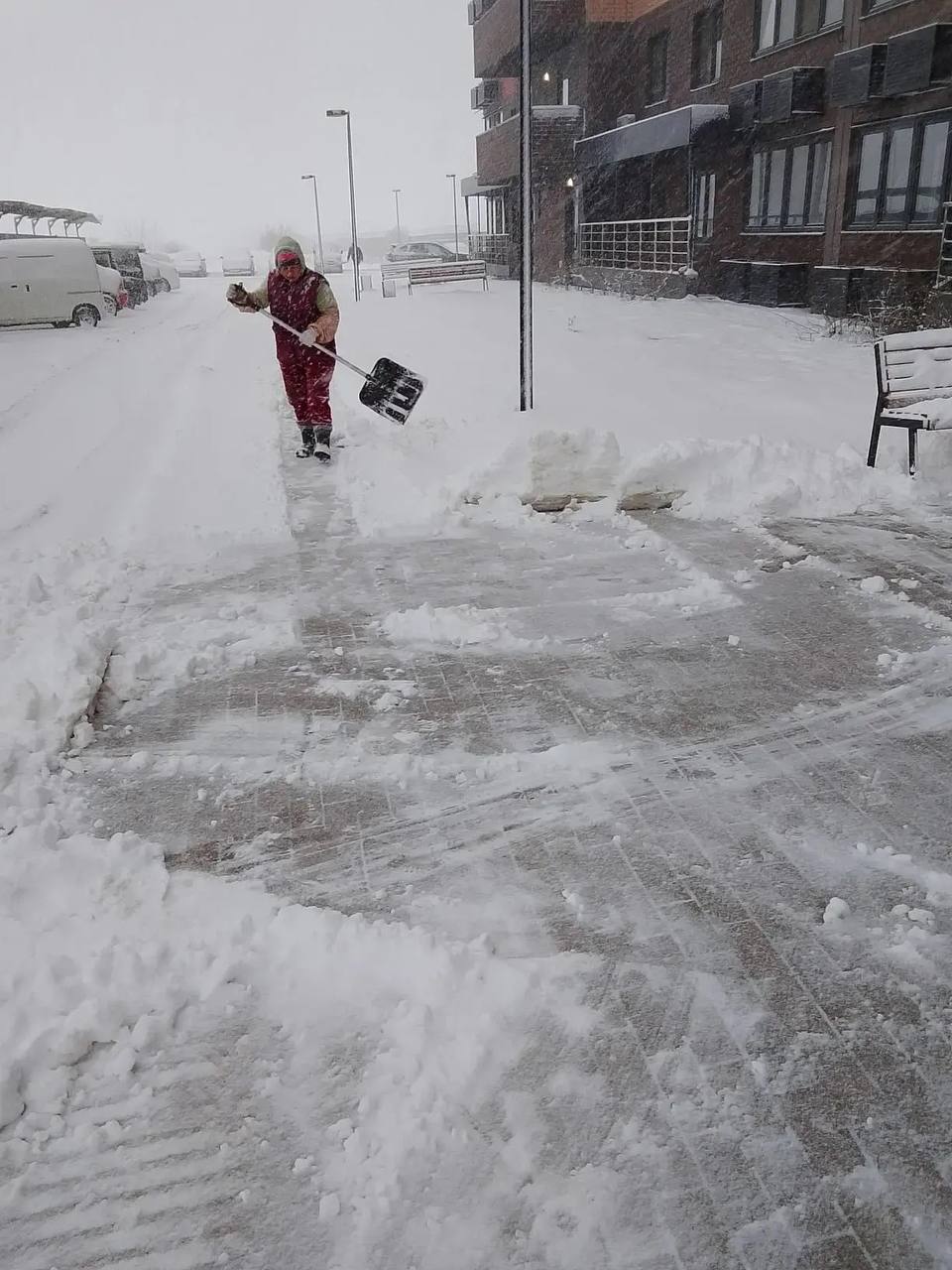 Управляющие компании приводят территории многоквартирных домов в порядок