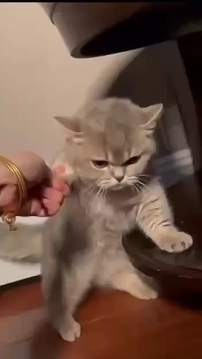 Это желание админа идти на работу после праздников