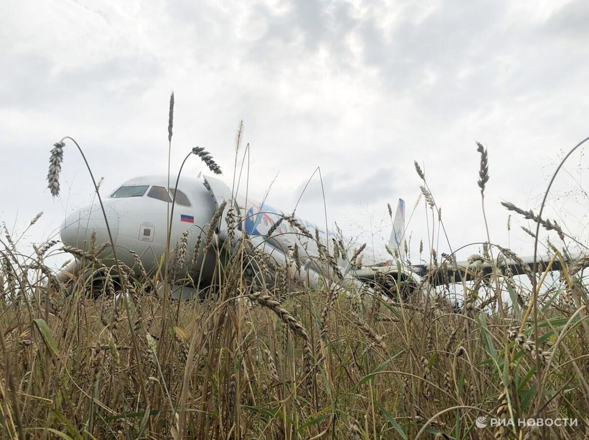 СК объяснил долгое расследование дела пилота Белова