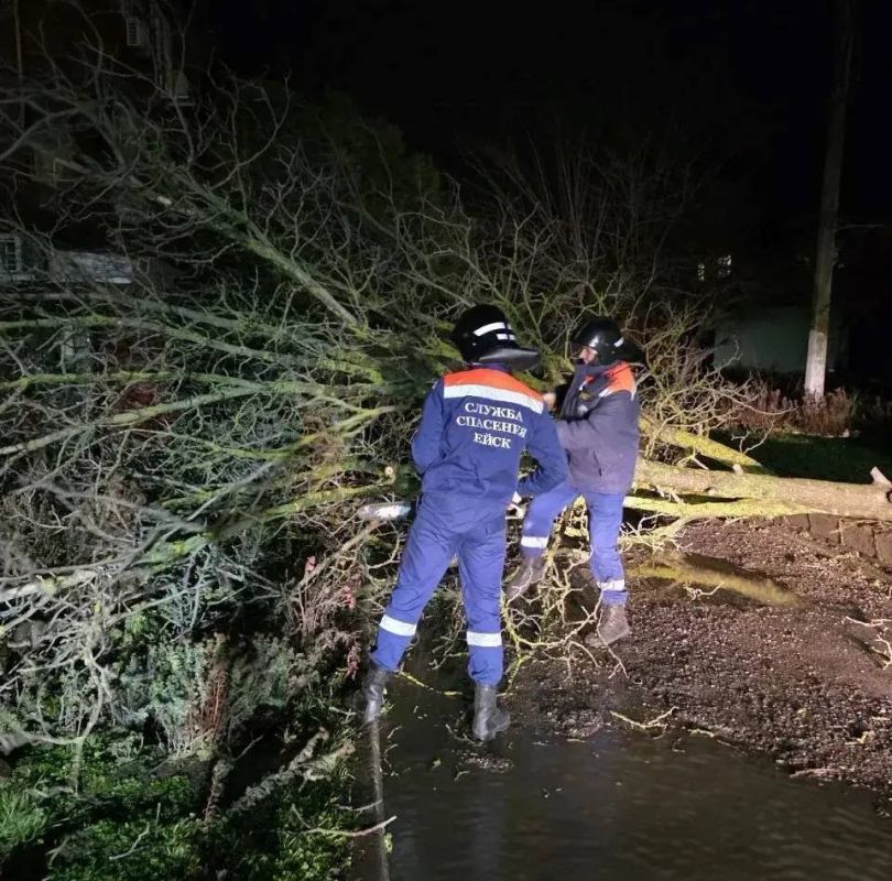 ����������� ���������� � �������������� �������� � ����� ������ � ��������� �����