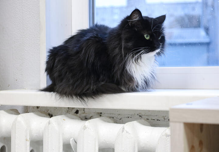 Теперь платим больше: на Кубани выросли тарифы на отопление