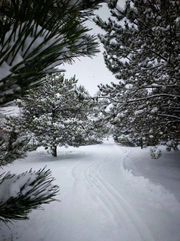 � ������ �� 14 ������. � ������������� ���� ������� � ������������