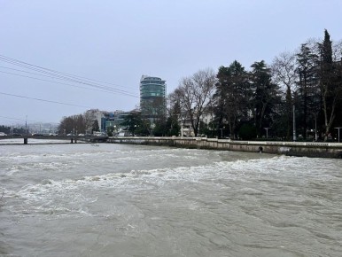 ������ ����, ������� �������!