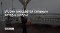 15 января в Сочи и на федеральной территории Сириус ожидается усиление ветра с порывами до 18 метров в секунду