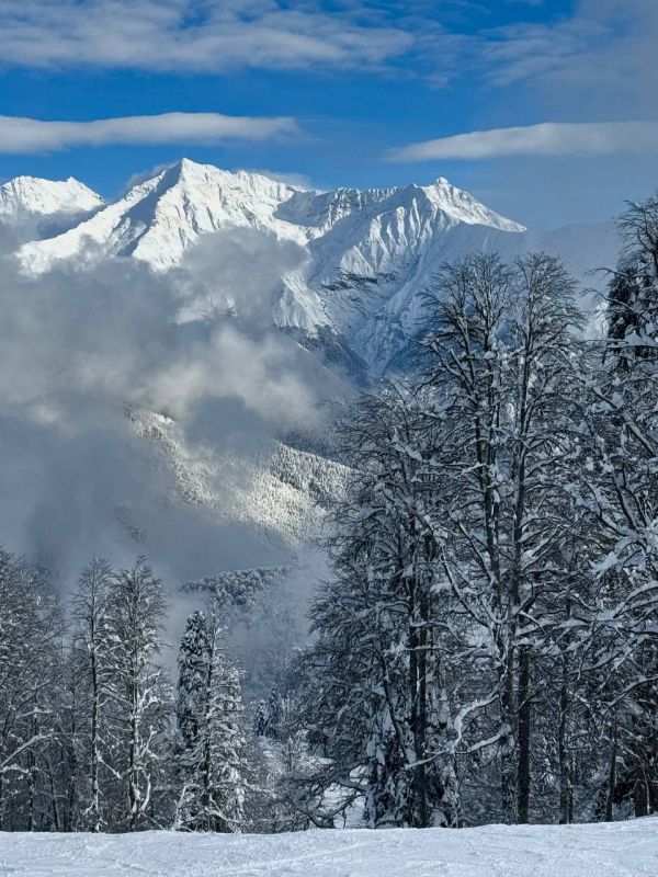 ���������� � �����!. ������� �� ������� ��������� �������� ��� ���� � ����! ������� ����, ������ � ������� ������� ������ - ���������� �� ������������ � ����������� ��������