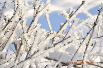 � ������ �� 15 ������. � ������������� ���� ������� � ������������, ����