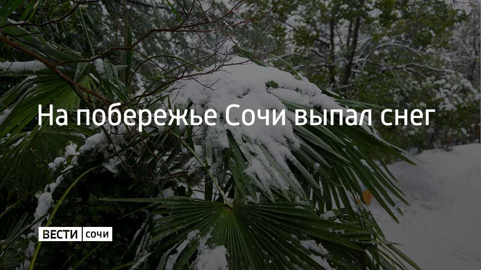 ����� 15 ������ �� ��������� ���� ����� ����