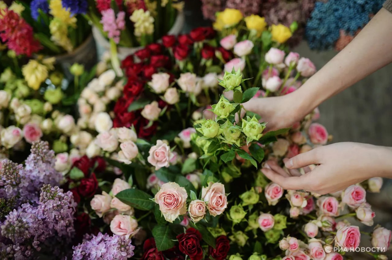 Цветочный бизнес в России продолжает активно развиваться: за три года число организаций в этой сфере выросло на 11%, подсчитали для РИА Новости аналитики "Контур.Фокуса"