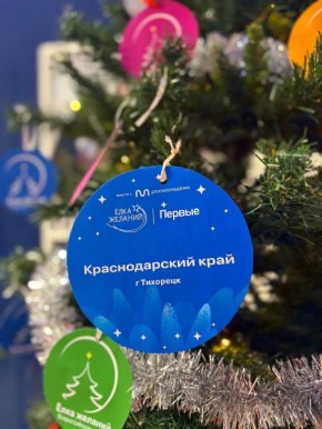 В Краснодарском крае полицейские и общественники исполнили новогоднее желание 9-летней Алины