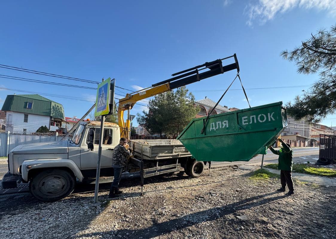 В Геленджике установили контейнеры для сбора новогодних елок