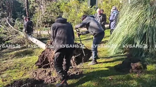 ������ ����� ������� ������ � ��������� ����� ����������