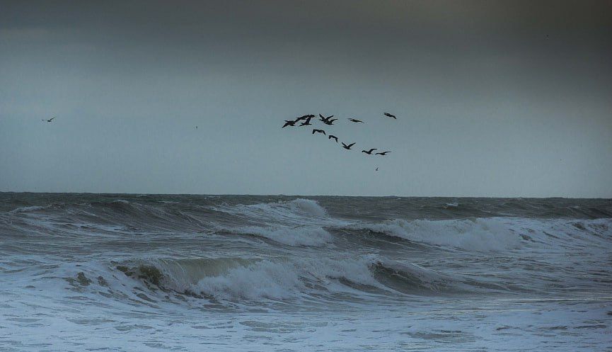 ��������! �� ����� ������������� ��������� ��������� ������� ������� ���� � ����������� ��������������� �������