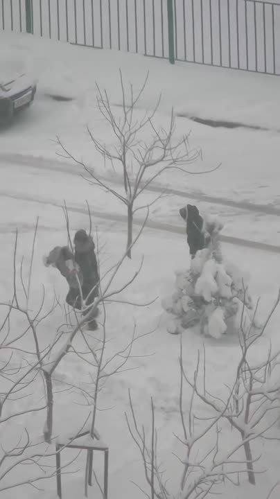 ��������� � ��������� ������ ������������