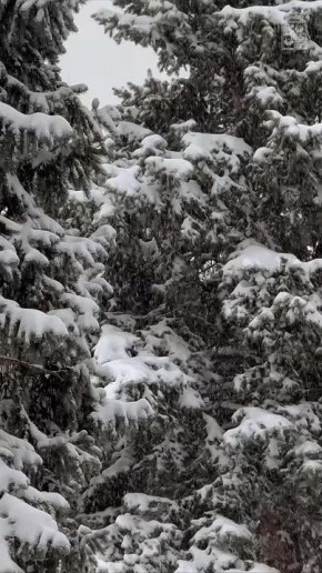 ������ ����, ���������!. � ������ ��� ����������� ������� �������� ����� -2��, �� ��� � ������� ������ ���������� �� +3��