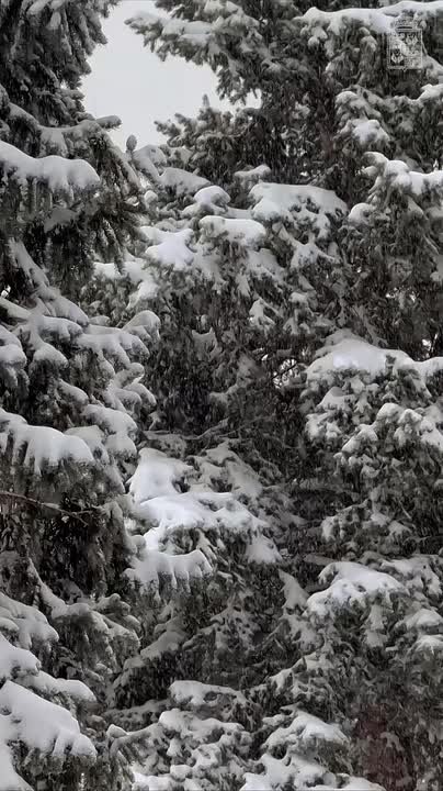 Доброе утро, Краснодар!. В начале дня температура воздуха составит около -2°С, но уже к полудню воздух прогреется до +3°С
