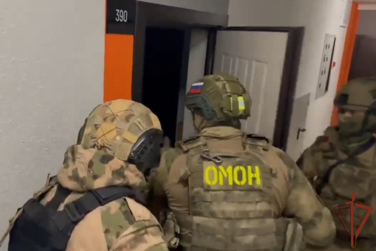 Подозреваемые в мошенничестве задержаны в Краснодаре при содействии спецназа Росгвардии (видео)