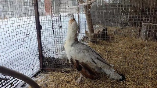 ��������� � ���������� ���� ������ ������� �� ������