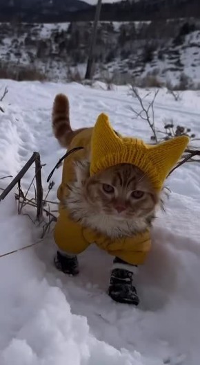 ������� � ���������� �������