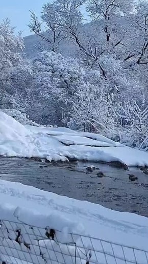 12345. � "����� ������" ���������� ������ ����������