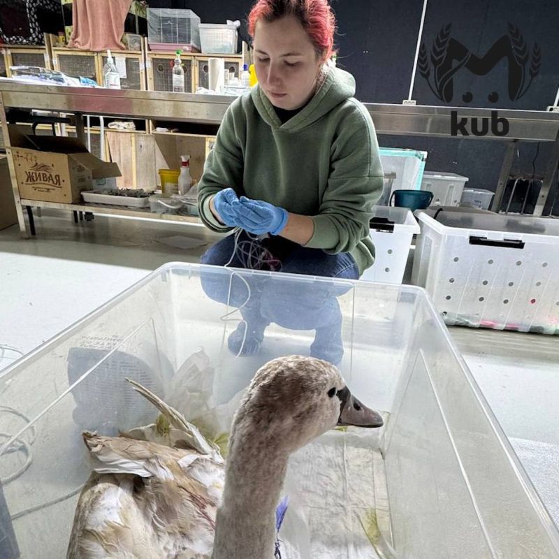 ���� ������� � �������������� ��������� ����� ��� �����������, ���� �� ��� �����