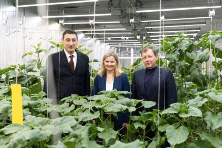 ������� ������������ ��������� �������� ��� ������ ������� ������� � ������� �������� �� ������������� ������-����������������� ��������� ��������� ������� ����� �.�. ����������, ��� ������� ������������������ �������� ���...