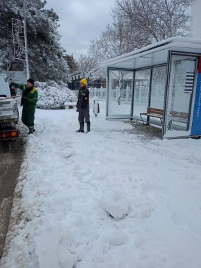 ������������ ������ ���������� ��������� ���������� � ��������� ������������ ����������