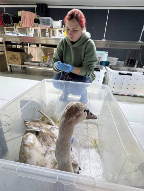 � ���� ������� �������� ��� �����������