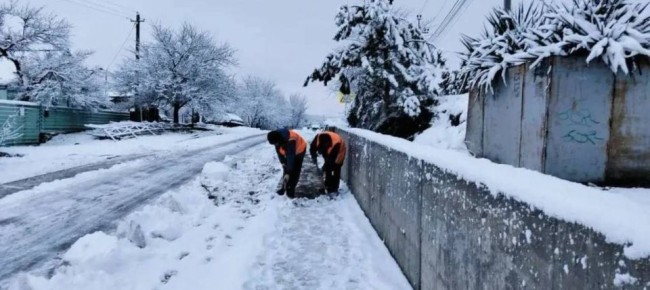 ������������ ������� ���� ����� ���������� ���������