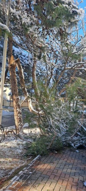 ���������� ����������� �� ��������������� ���������� ��������� ������� ����� �� ������ ����������