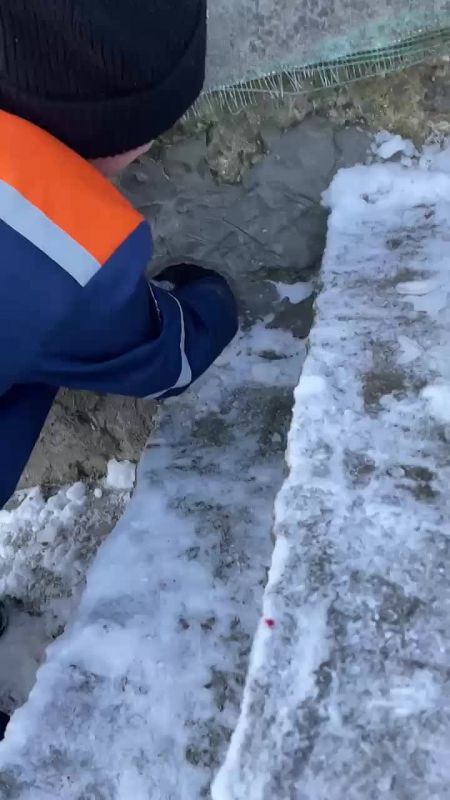 ������������ ����������� ������� ����������