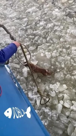 ���������� ������ ���������� �������� �� �������� ���������, ������� �� ��� ��������� �� ������� ����