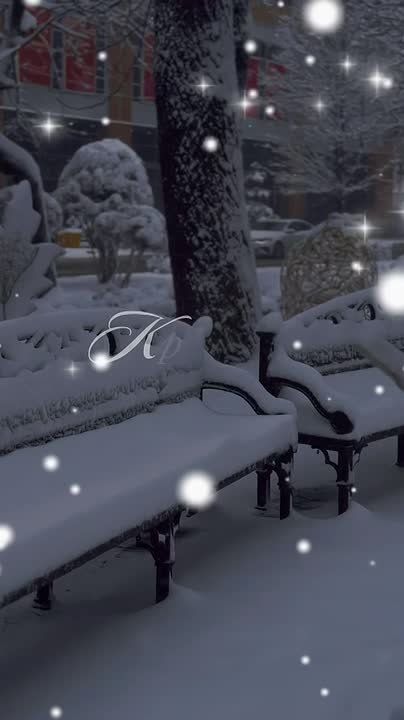 ������ ����, ���������!. ������� ������ �� ���������