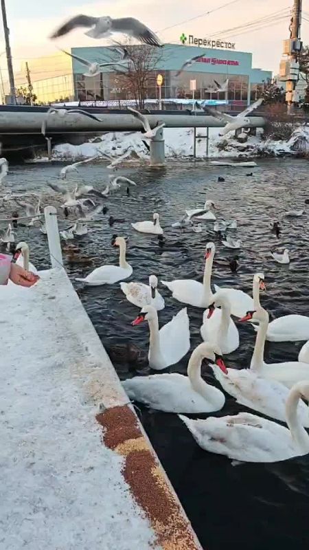 ������ ����� ���� ������. ���� ������� �� ������ ���� ��� � ������ ��������, ��������� � ����� ���� ��� ����