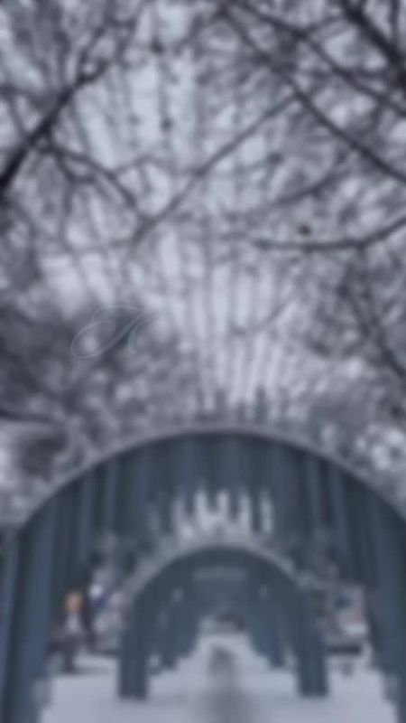 ������ ����, ���������!. ����������� ������� �� ������ ������ �6��