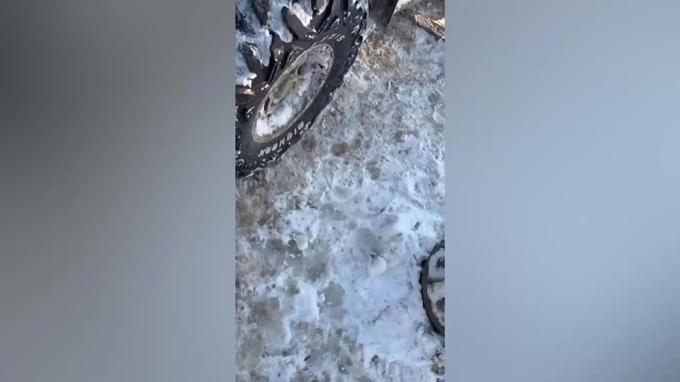 12345. ������� ����������� �� ����