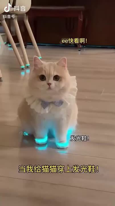 ���������� �������� ��� ������� ����� �� ��������� ������������� � � ��� �������� ����� ������������ � ��������� ������