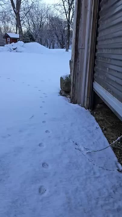 ����� ����� �� �����, ����� ����� �� ������, � ��� -7