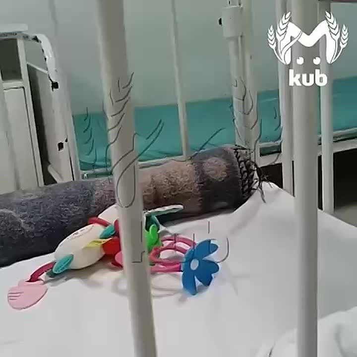 �������� ����� � ������� ��������� �������� ���������-��-������