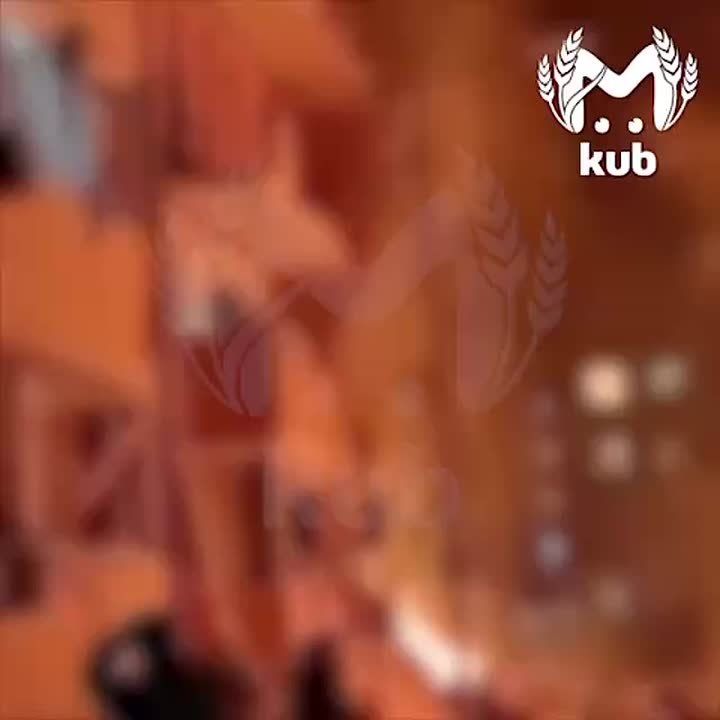 ������� �������� � ���, ��� ������� ���� ������ ��� ������� ���� ������ � ����