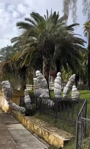 � ��������� ��������� ���� �������� �������� � �������