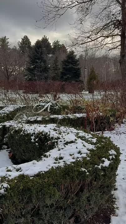 ������ ����, ���������!. ������� � ������ ��������� �������� ������ ��� �������