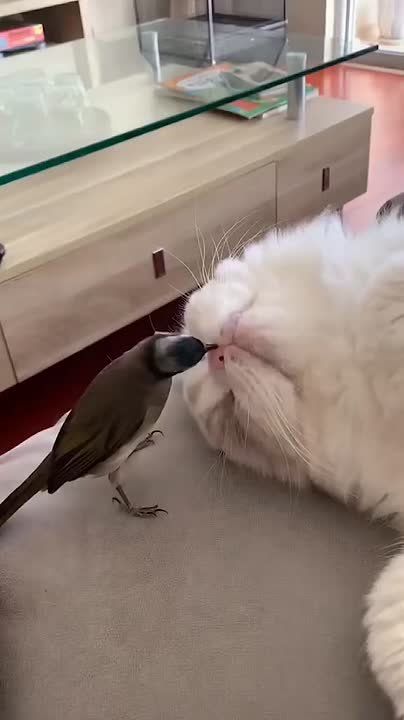 ������ ����!. � ������ � ���� � ��������