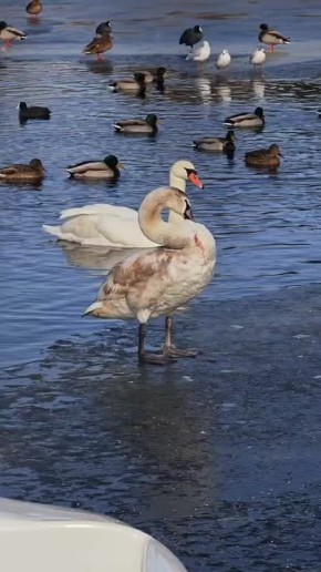 � ����� ������� ������ � ������� � ���