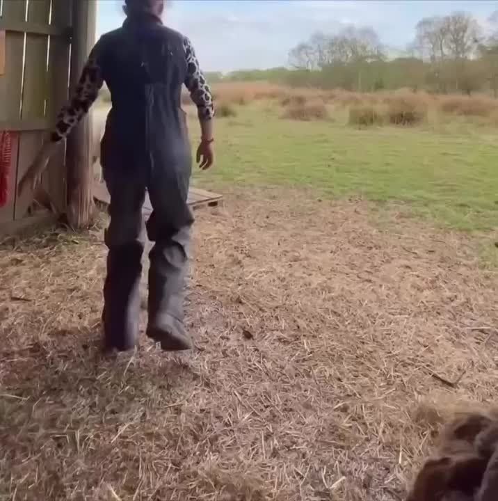 ������: � ���� ��������, ��� �������� ����� �� ������, ���� ������, ��� �������� �����