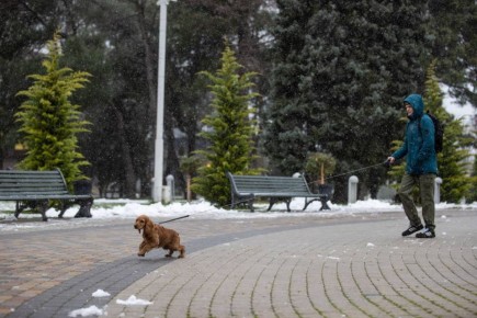 ��� ������. ������ ���������� ������������, ���������� ���� ����