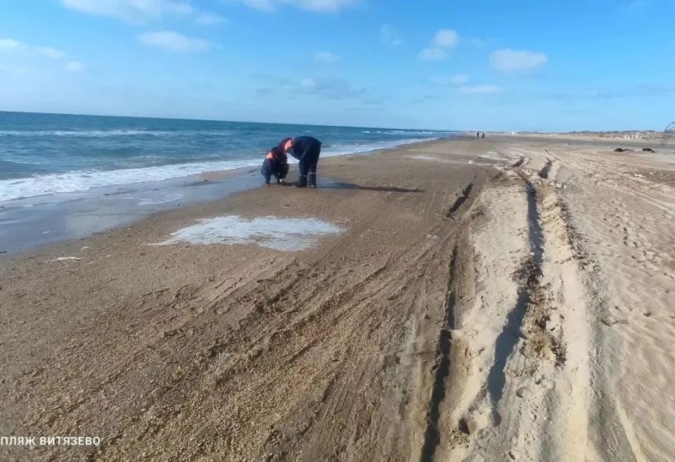 �� ��������� ������ � ����� � ���������� ������ ����� �������� ������ �� ����������