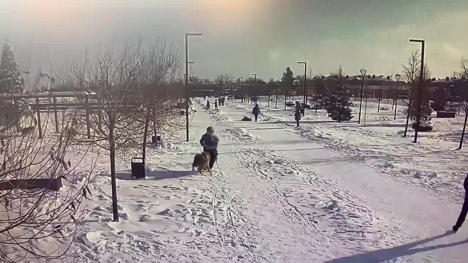 � ���������� �� ����� ������ ������