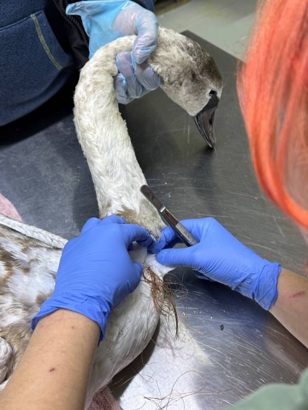 ������ �� ��� �������� � ��� ��� ������ �����