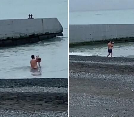 ������ ����, �������� ����� ����� � ����, �������� ���� ��������